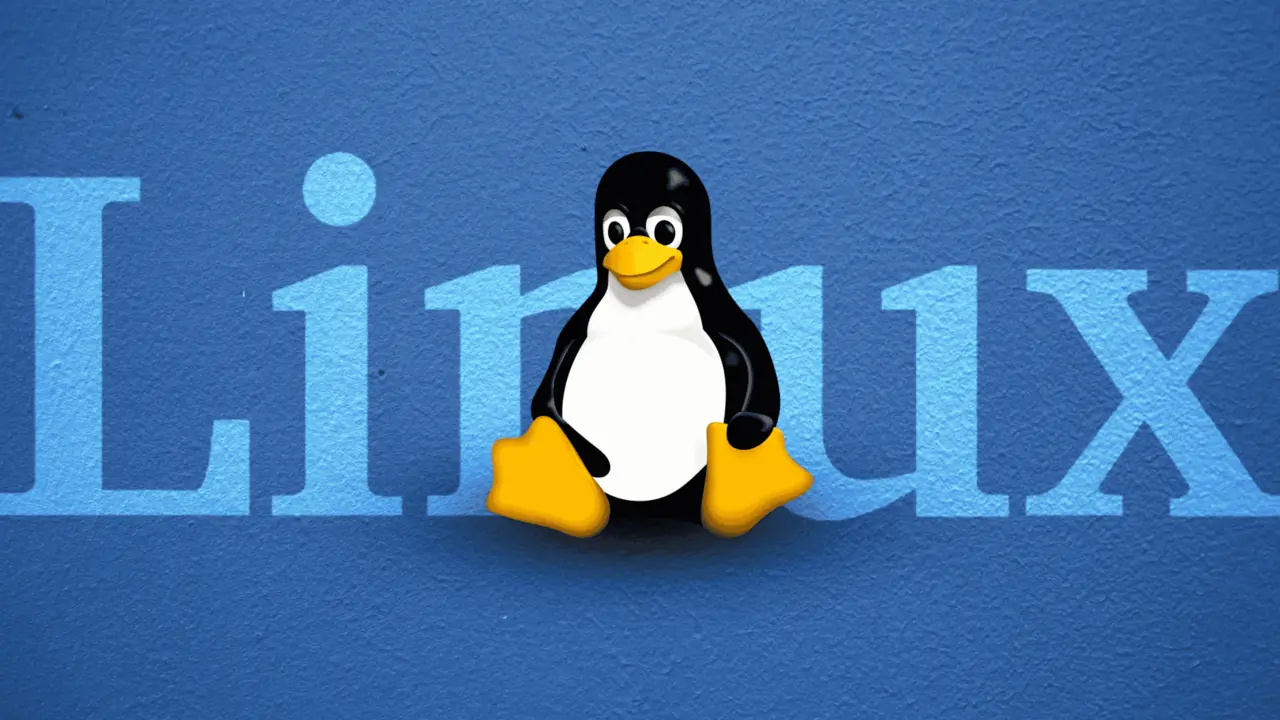 Usuários da Bahia aceleram PCs com hábitos inspirados no Linux