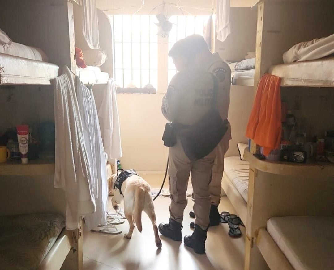 PMBA revista presídio de Paulo Afonso e apreende armas e drogas