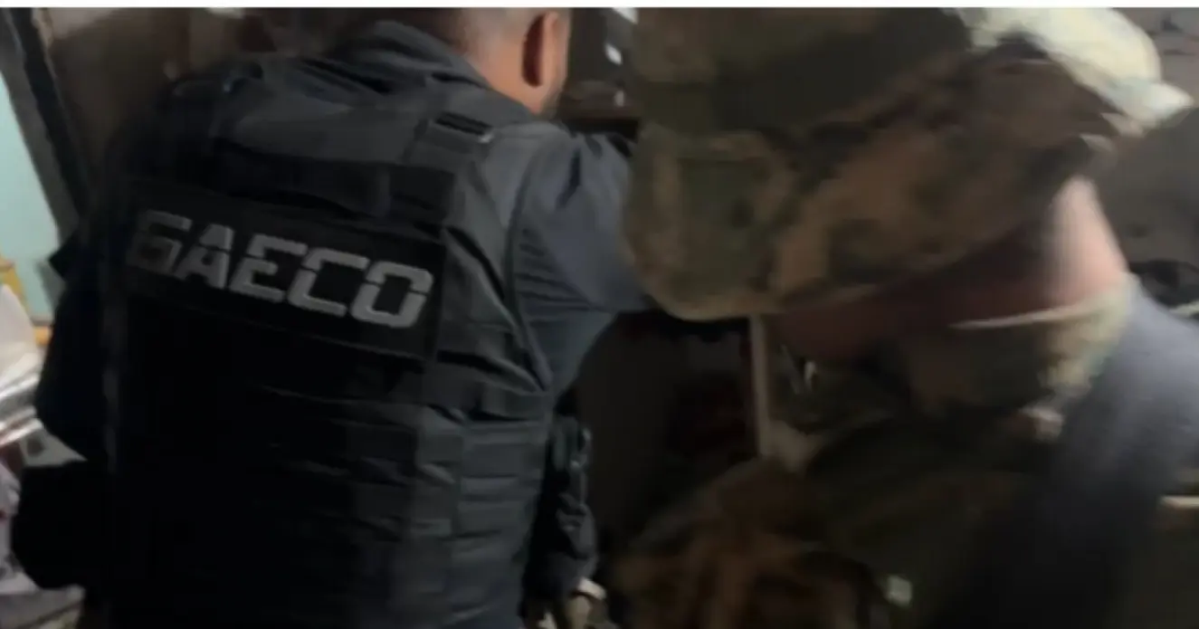 MP-BA cumpre 2ª fase de operação e prende 4 por tráfico de aves