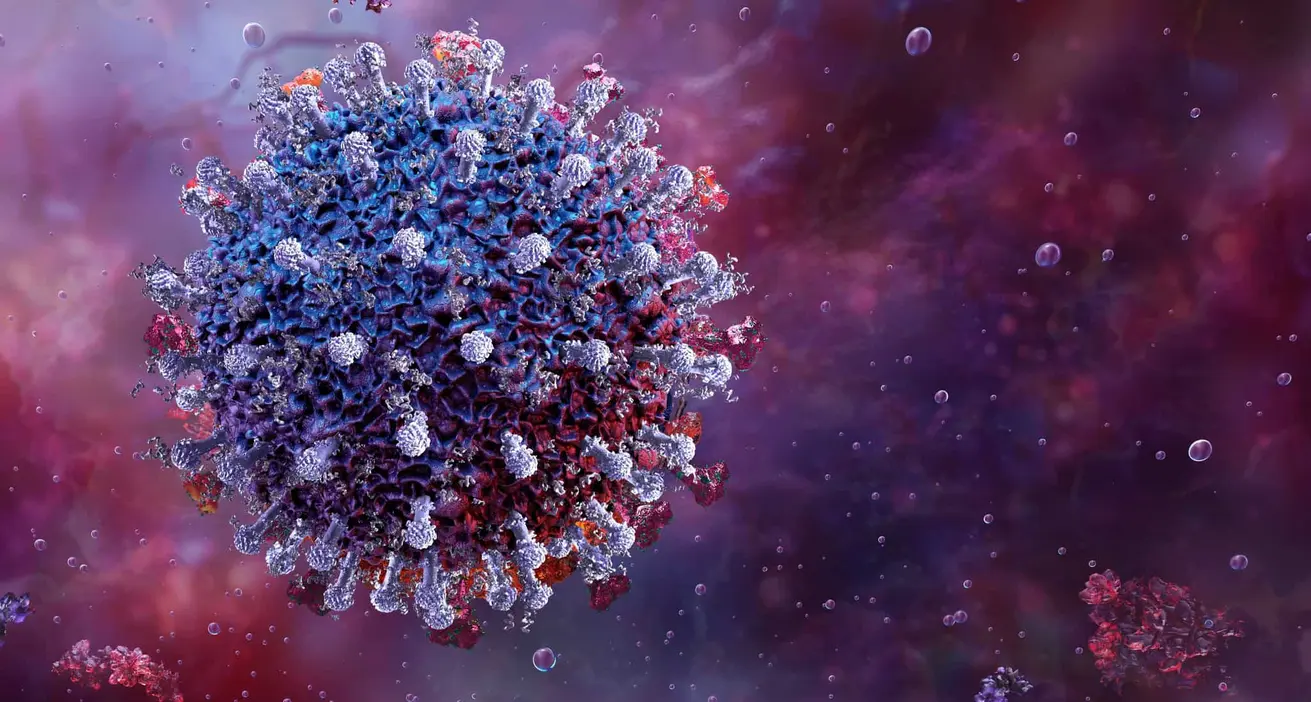 Pesquisadores identificam novo betacoronavírus em morcegos no Brasil