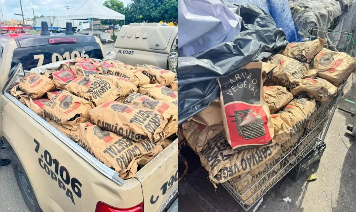 Coppa apreende 450 kg de carvão na Ceasa de Salvador