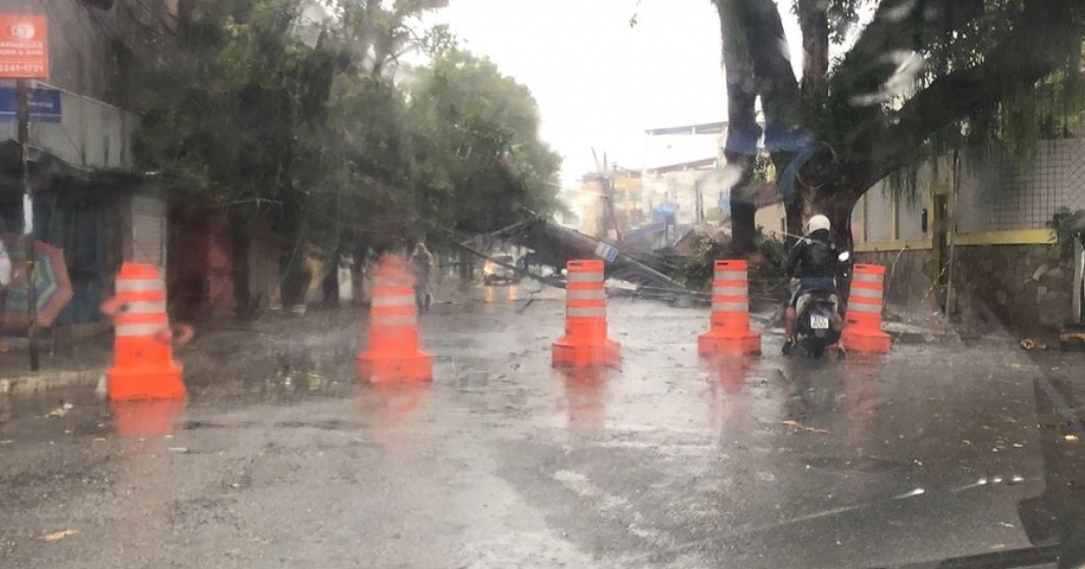Árvore cai no Barbalho, Salvador, sem feridos