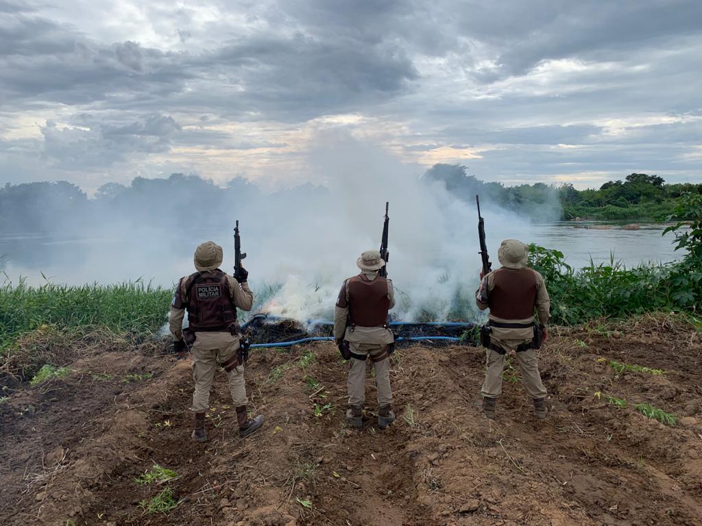 Pm Destrói Mais De Cinco Mil Pés De Maconha No Norte Do Estado