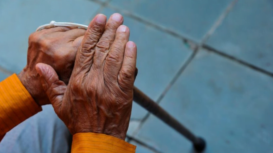 Idoso De 90 Anos É Preso Por Abusar De Cadela; Suspeito Alegou ‘Solidão’ 