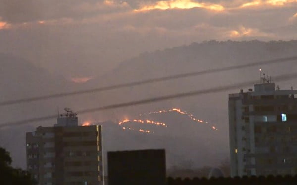 Área De Vegetação É Atingida Por Incêndio Na Bahia