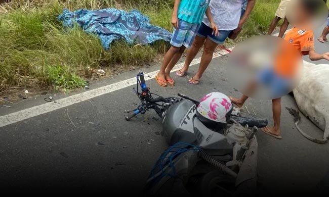 Motociclista Morre