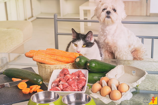 Cuidado Com O Seu Pet! Saiba Os Alimentos Que Cães E Gatos Não Podem Comer