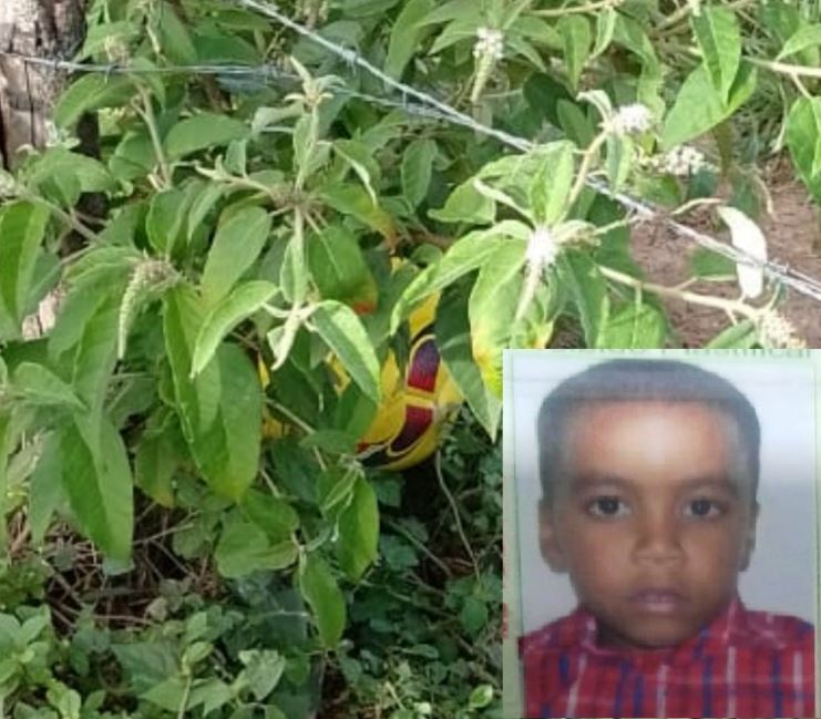 Menino De 4 Anos Morre Após Brincar Perto De Cerca Elétrica Na Bahia