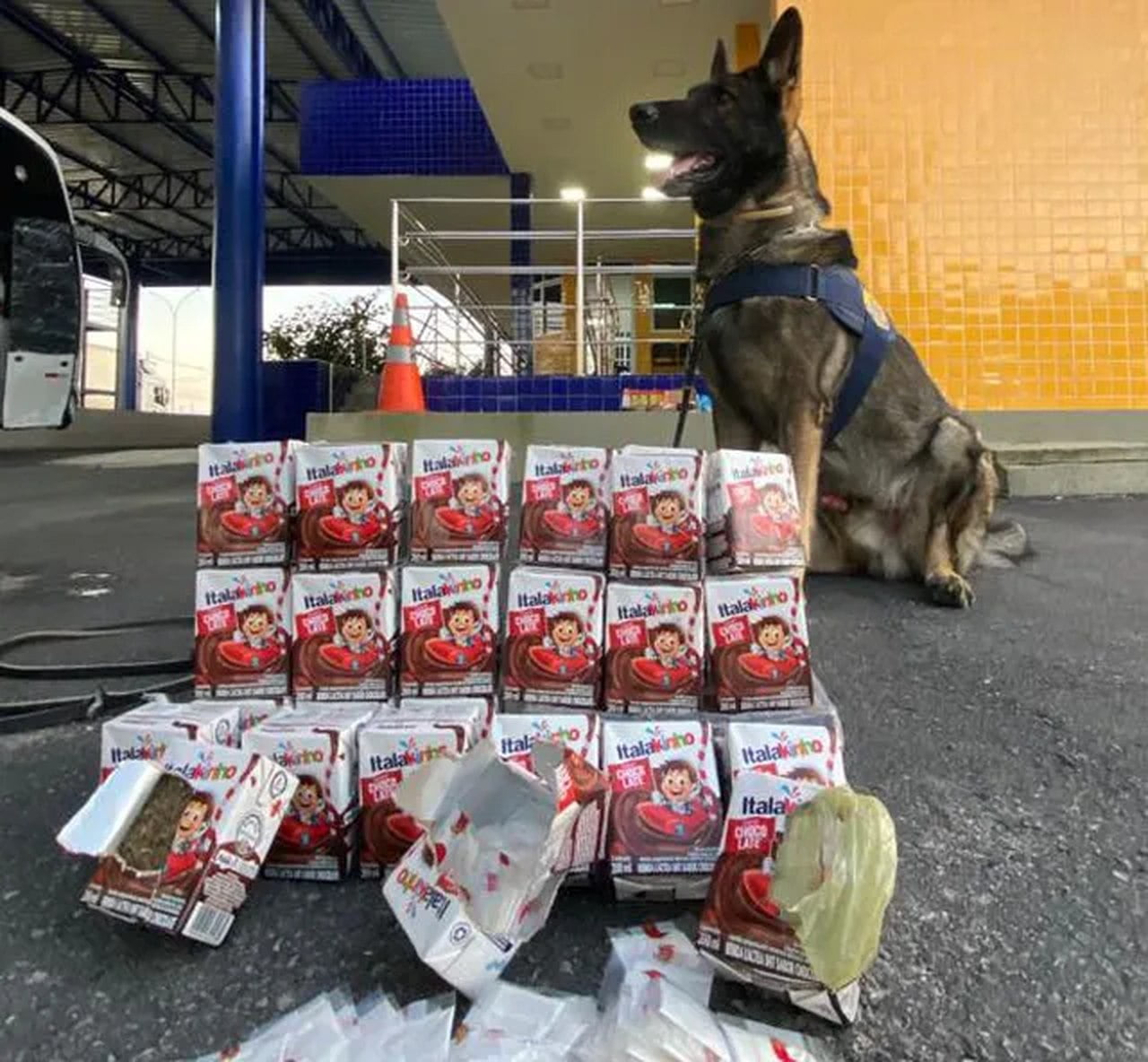 Rf Encontra Cocaína E Maconha Em Caixas De Achocolatado