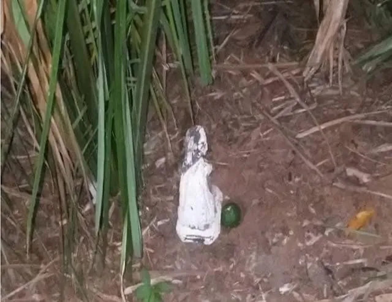 Ritual Religioso No Maranhão