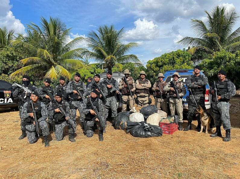 Pm-Ba E Pm-Pe Termina Com Apreensão De 190 Kgs De Maconha Em Sítio De Juazeiro