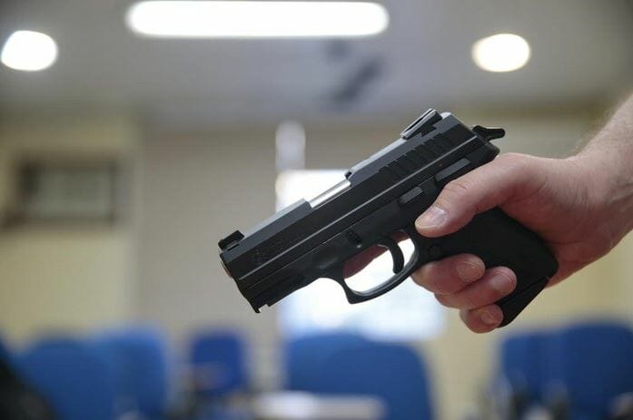 Governo Prorroga Prazo Para Recadastramento De Armas No Sinarm Até 3 De Maio