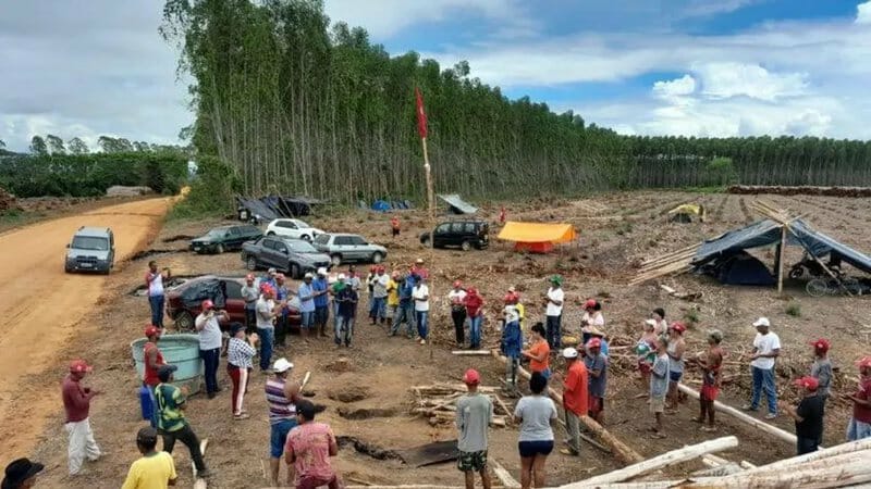 Mst E Suzano: Fazenda É Desocupada Na Bahia