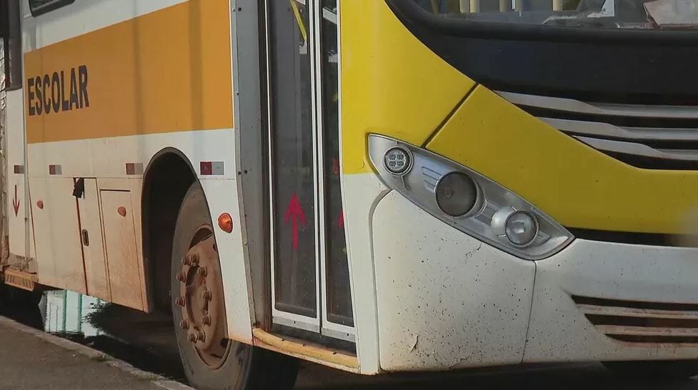 Criança Morre Após Ser Atropelada Por Ônibus Escolar Na Bahia