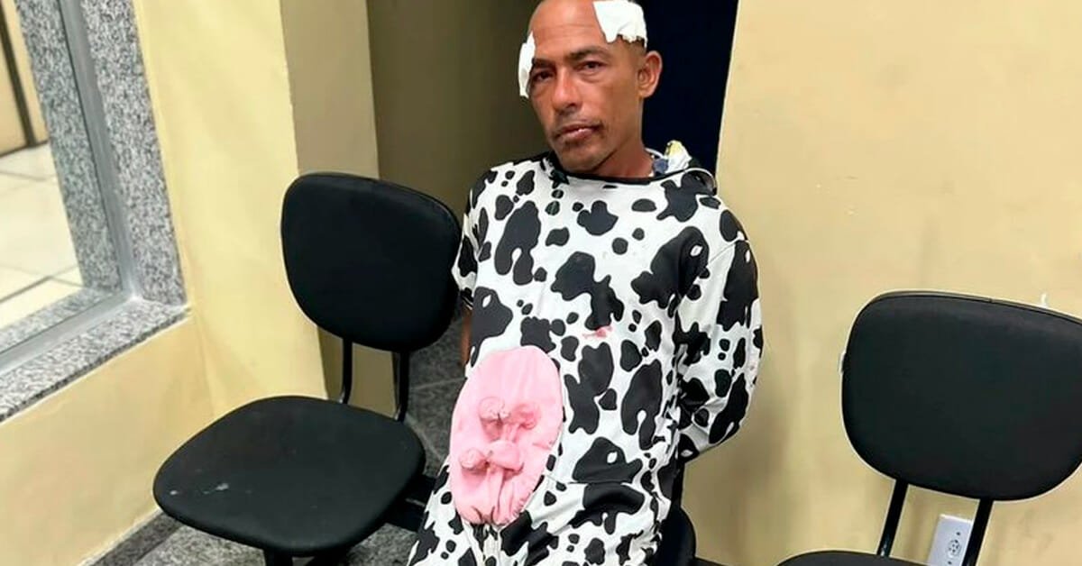 Um &Quot;Furtivo&Quot; Bovino: Homem Vestido De Vaca Tenta Roubo Em Copacabana E Acaba Detido Após Ser Espancado Por Populares