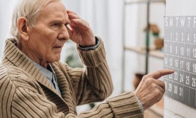 Estudo Revela: Alzheimer Provoca Alterações Significativas Nos Vasos Sanguíneos Do Cérebro