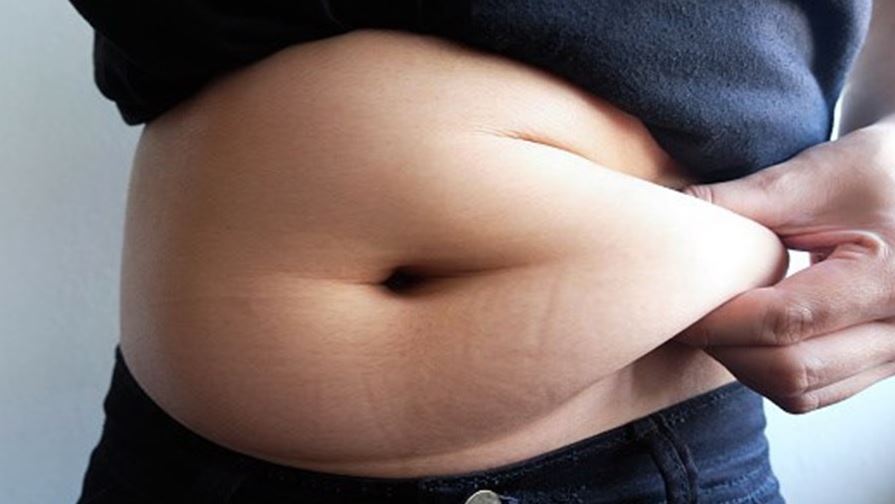 Alerta Aos Pais: Estudo Revela Que Jovens Estão Mais Obesos, Ansiosos E Abusando Do Álcool