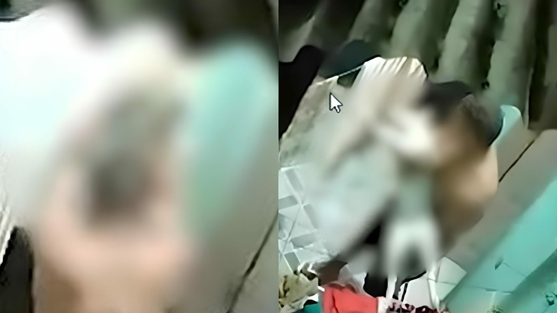 Homem Que Matou Pitbull É Agredido Até A Morte Após Vídeo Viralizar Em Salvador