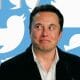 Twitter Se Despedirá Do Pássaro Azul? Elon Musk Propõe Novo Logotipo