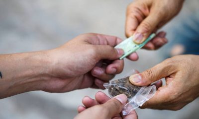 Quadrilha É Detida Por Suspeita De Tráfico De Drogas Em Santana Do Ipanema