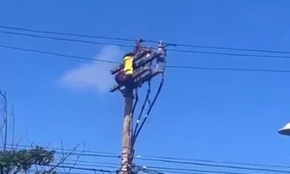 Bahia: Após Subir Em Poste, Homem É Eletrocutado Durante Tentativa De Furtar Os Cabos