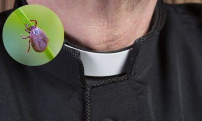 Padre Corta O Próprio Pênis Com Faca Após Ser Picado Por Carrapato