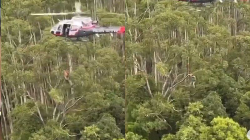 Polícia Militar Confirma Morte Dos Quatro Ocupantes De Helicóptero Que Estava Desaparecido