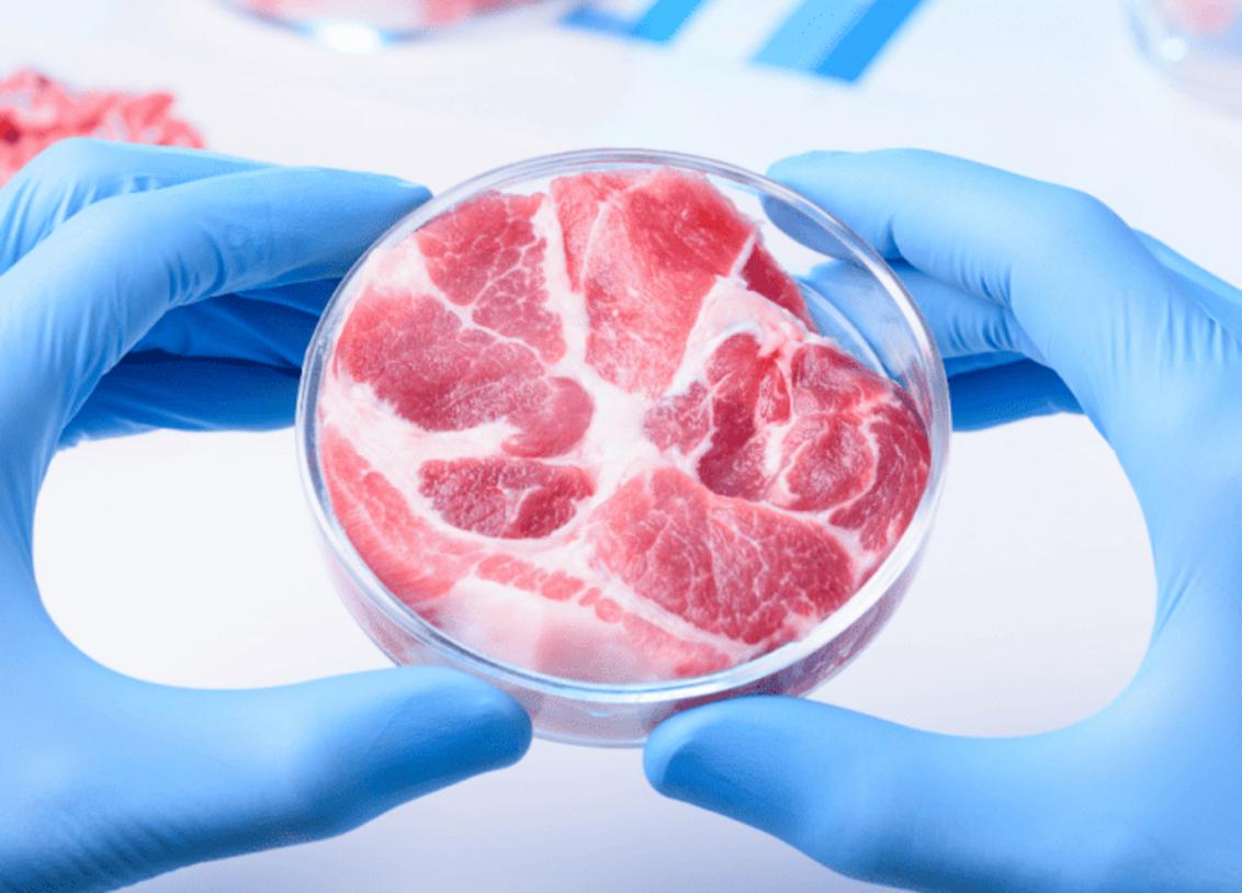 Proteína.