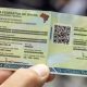 Nova Carteira De Identidade Permite Unificação De Documentos E Emissão Online: Saiba Como Solicitar A Sua E Garantir Mais Segurança