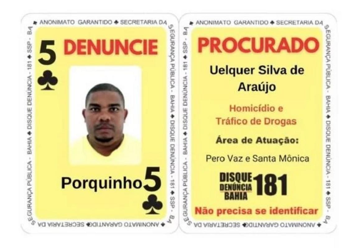 Porquinho É Envolvido No Tráfico De Drogas E Em Mortes - Foto: Ssp