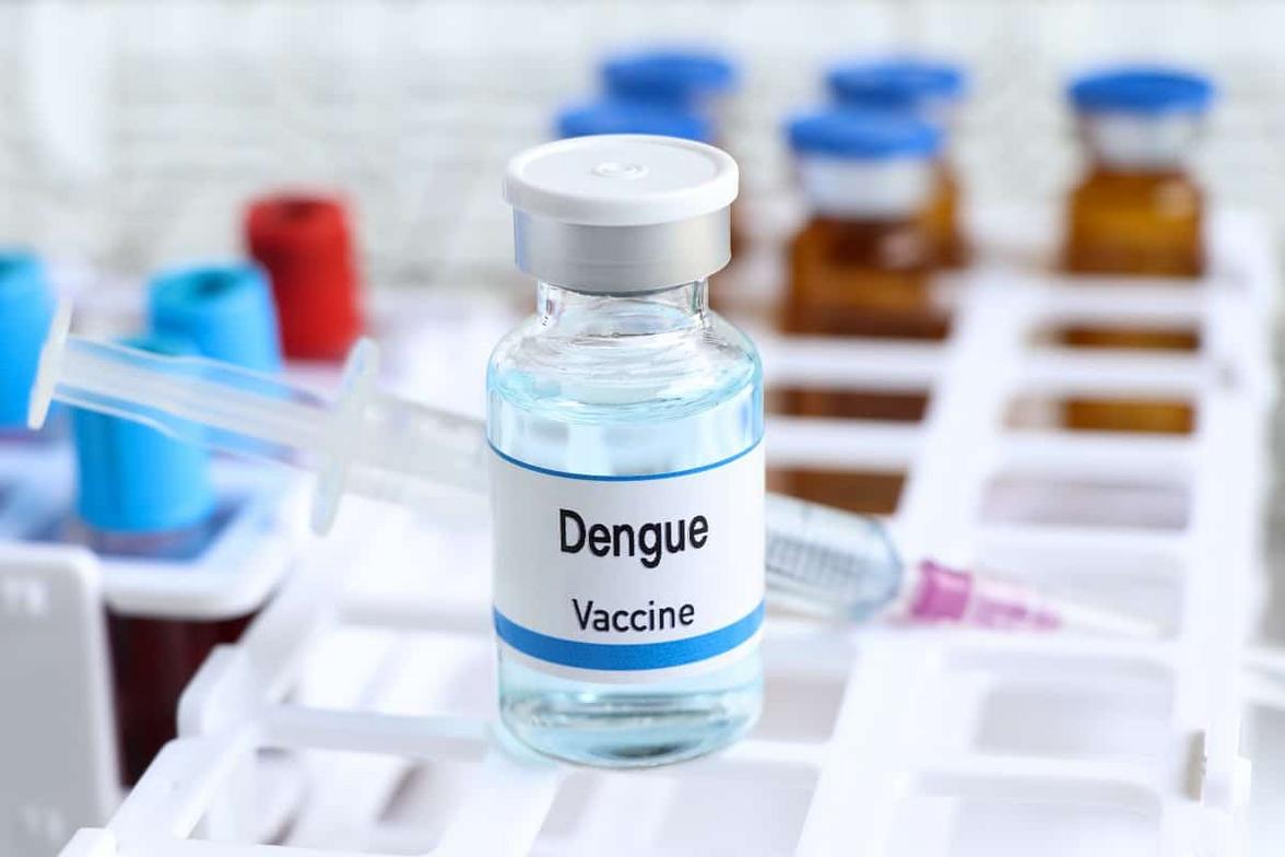 Dengue