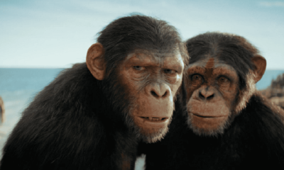 Planeta Dos Macacos: O Reinado