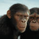 Planeta Dos Macacos: O Reinado