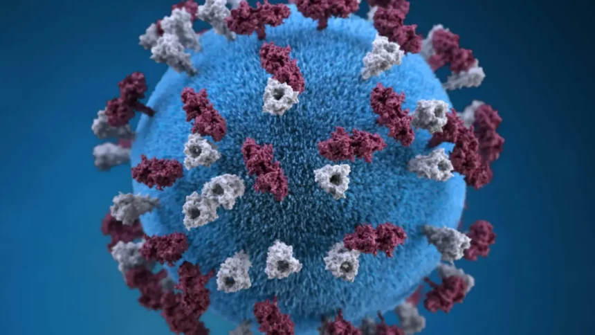 Micro-Organismo Que Causa Infecções (Reprodução: Cdc/Unsplash)