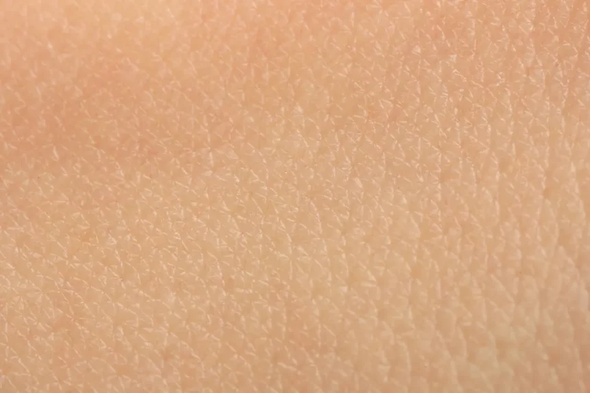 Novidade Quer Imitar Epiderme Humana (Imagem: New Africa/Shutterstock)