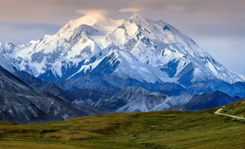 Imagem: Steve Allen/Shutterstock
