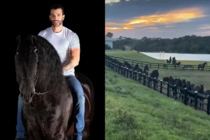 Empreendedor: Gusttavo Lima Fará O Primeiro Leilão De Cavalos E Éguas Do &Quot;Haras Embaixador&Quot; (Reprodução Instagram)