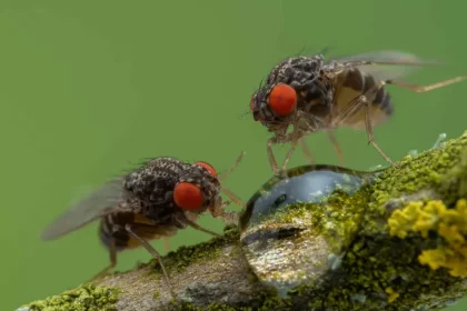 (Imagem: Ernie Cooper / Shutterstock)