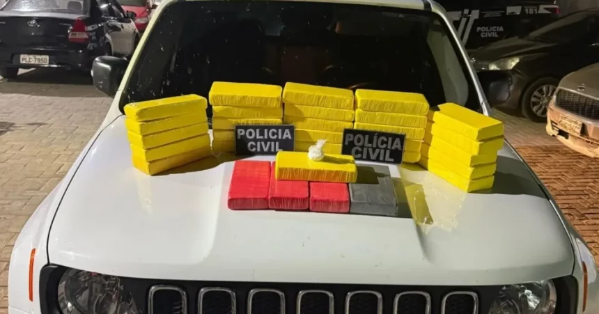Foto: Reprodução / Polícia Civil