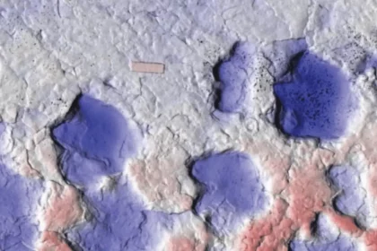 Pegada Do Anquilossaurídeo (Crédito: Arbour Et Al., Jornal De Paleontologia De Vertebrados, 2025)
