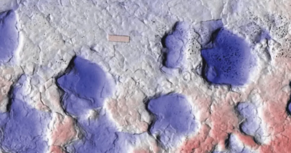 Pegada Do Anquilossaurídeo (Crédito: Arbour Et Al., Jornal De Paleontologia De Vertebrados, 2025)