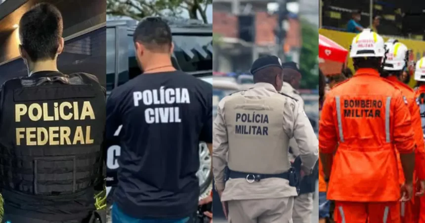 Fotos: Divulgação
