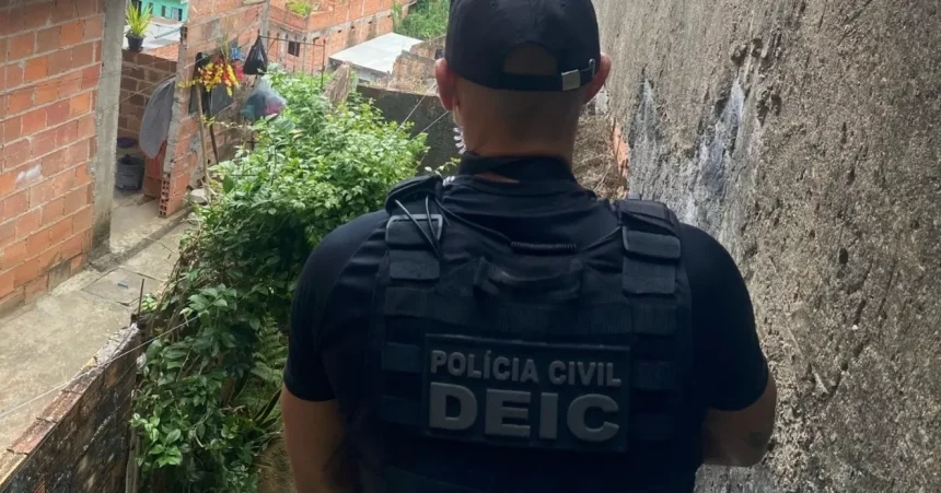 Foto: Divulgação / Polícia Civil