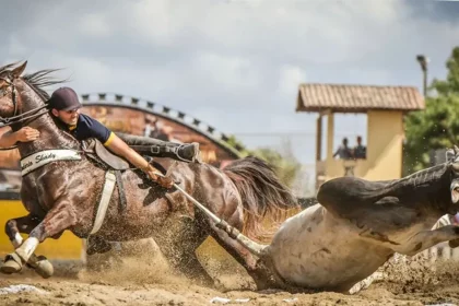 Foto: Reprodução / Redes Sociais