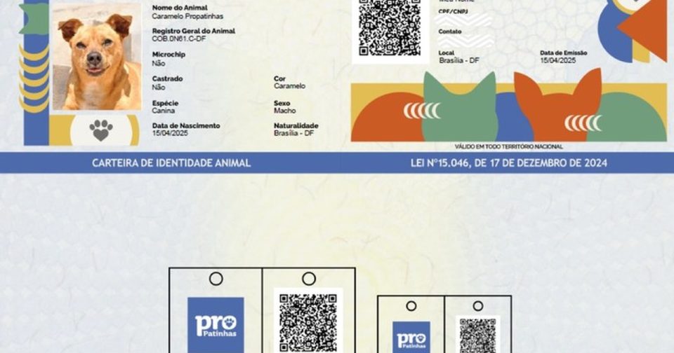 'Rg Animal': Prefeitura De Paulo Afonso Divulga Cadastro Nacional Para Cães E Gatos