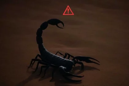 Escorpião Com Um Sinal De Alerta / (Crédito: Imagem Feita Por Inteligência Artificial (Grok/Reprodução)