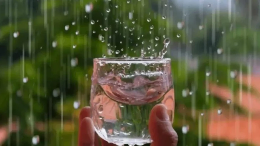 Pode Beber A Água Da Chuva? (Imagem: Kazitafahnizeer/Shutterstock)