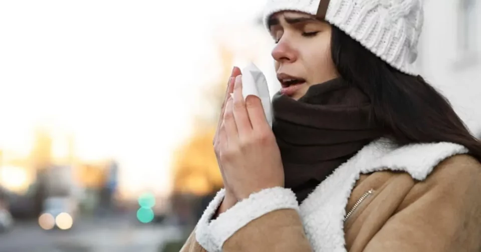 Anticorpo Atua Para Combater A Gripe Ainda No Estágio Inicial, Evitando A Piora Dos Sintomas (Imagem: New Africa/Shutterstock)