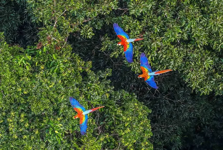 Imagem: Andre Maceira/Shutterstock