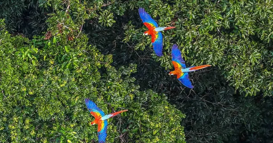 Imagem: Andre Maceira/Shutterstock